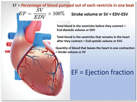 lv ef|what does left ventricular ejection fraction mean.